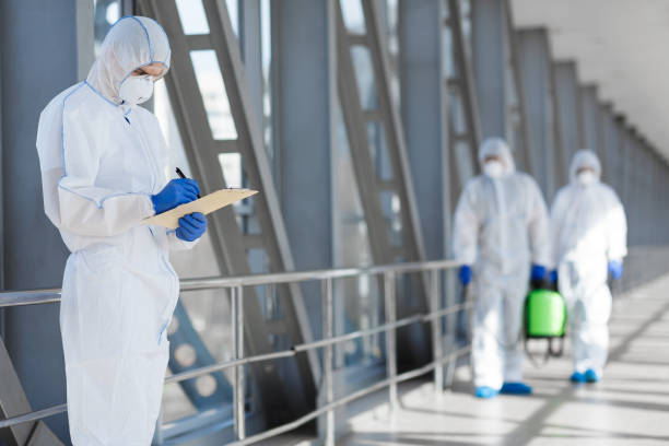 Best Mold Odor Removal Services  in Lena, IL