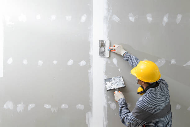 Best Mold Documentation for Insurance Claims  in Lena, IL
