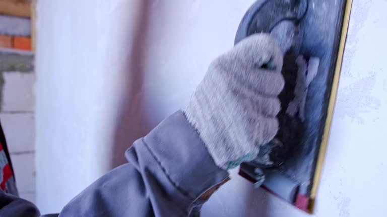 Best Biohazard Mold Removal  in Lena, IL