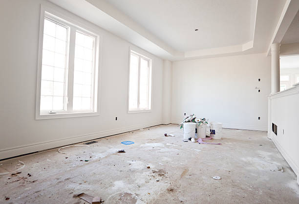 Best Mold Damage Restoration  in Lena, IL