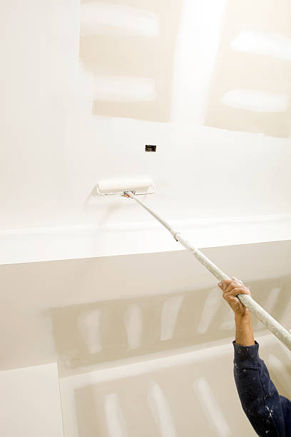 Best Post-Construction Mold Inspection  in Lena, IL