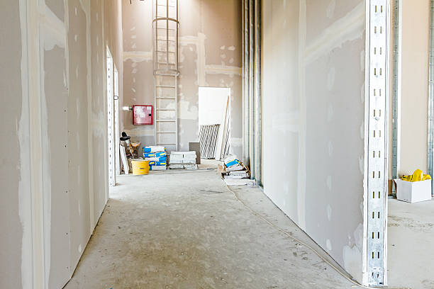 Trusted Lena, IL Mold Removal Experts